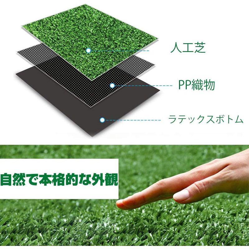 HBedding リアル人工芝 ロール マット芝丈10mm (幅1m×長さ5m) 耐久性強い 4種のMIX葉 (多サイズ選択可） ナチュラ