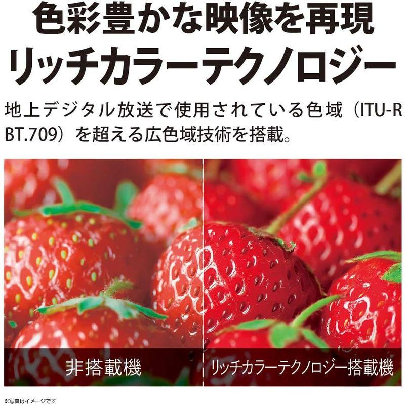 テレビ シャープ 50V型 液晶 AQUOS 4T-C50CH1 4K チューナー内蔵 2020年モデル