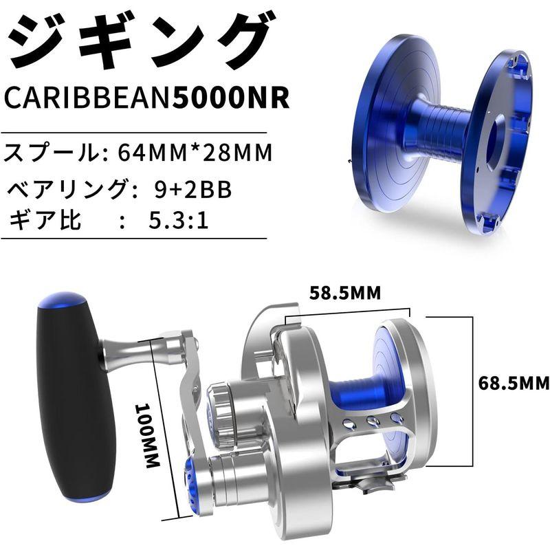 WATACHAMPワタチャンプ カリビアン（Caribbean） ジギング専用ベイトリール 7000NL 大物用 レバードラグリール パワー｜jjhouse｜05