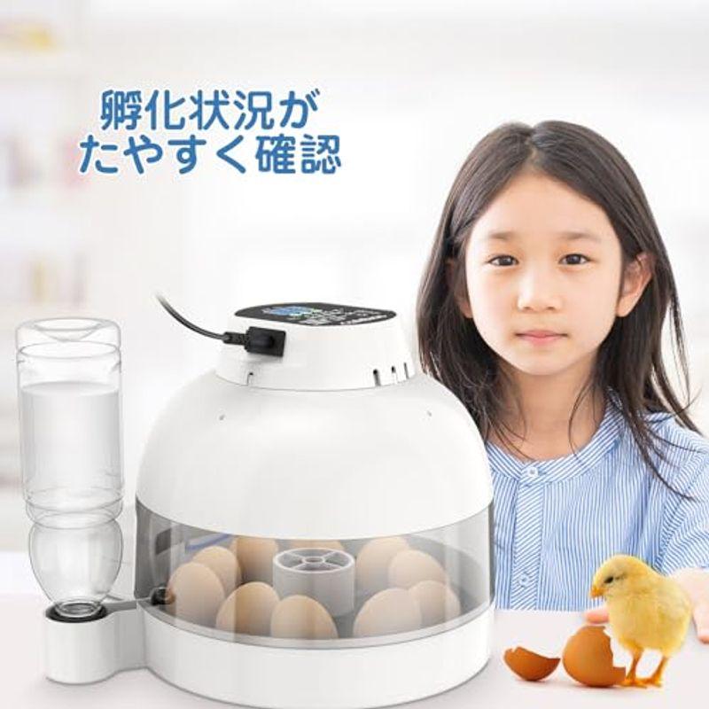 ⭐︎セット売り⭐︎LifeBasis インキュベーター 孵卵器 Amazon.co.jp: LifeBasis 自動孵卵器 インキュベーター 鳥類専用