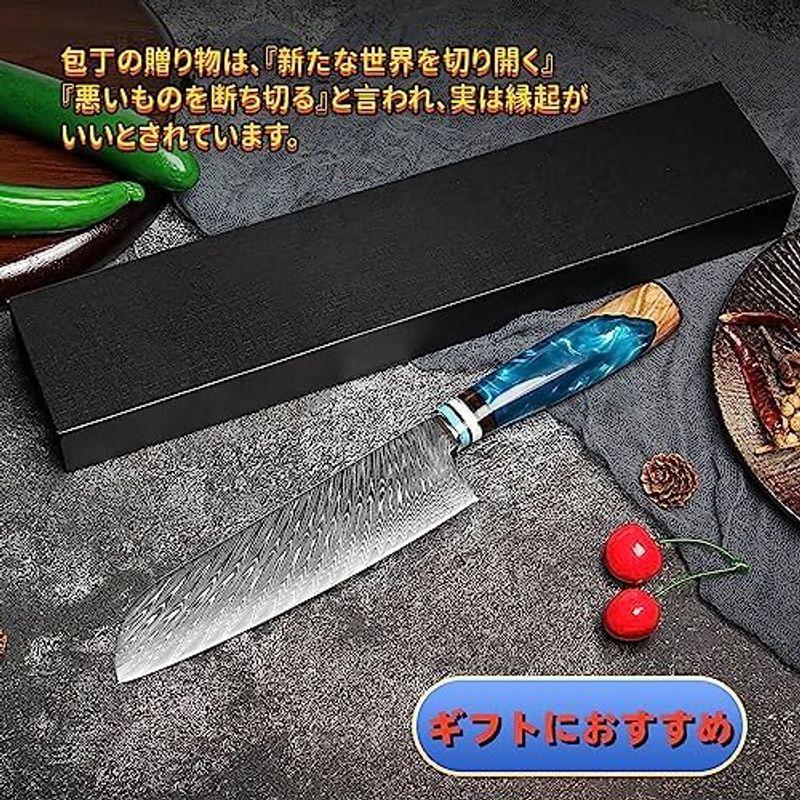 VGTEN 菜切り包丁 中華包丁 刃渡り160mm V金10号 67層 VGTEN 菜切り包丁 中華包丁 刃渡り160mm V金10号 67層