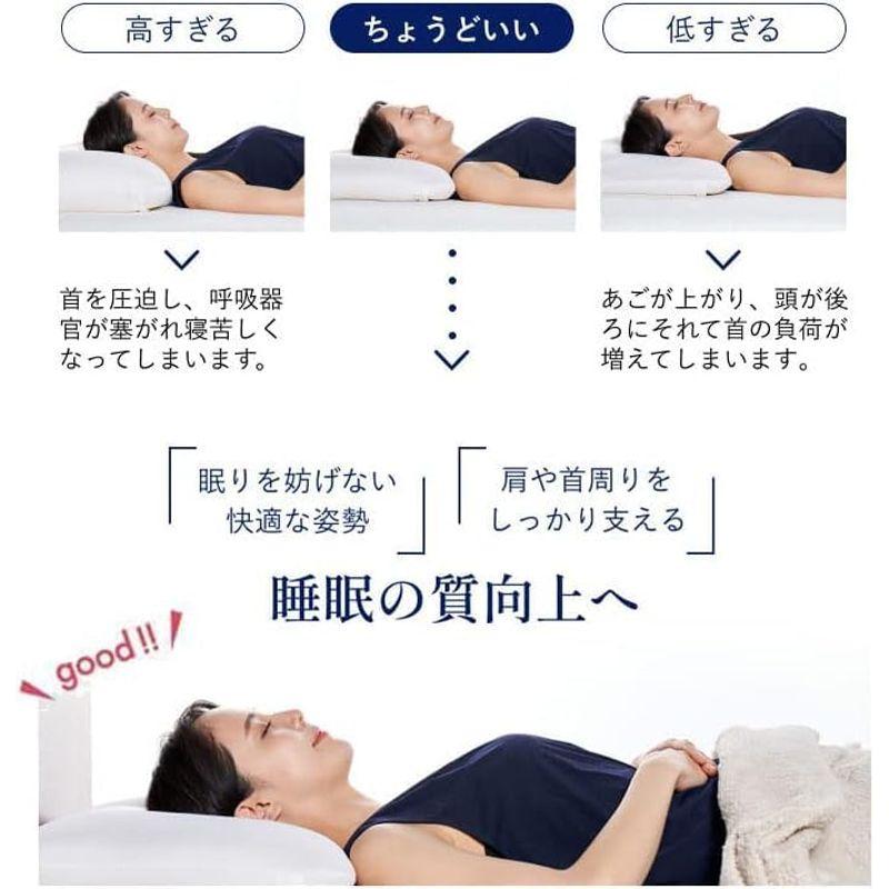 LOFTY 枕 まくら 快眠枕 LT-050 / 2号 低め 低反発 パイプ 寝が LOFTY 枕 まくら 快眠枕 LT-050 / 2号 低め 低反発 パイプ 寝が