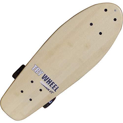 TRY WHEEL(トライウィール) TRYWHEEL CRUISER 21 TRY021CR WHEEL トライウィール
