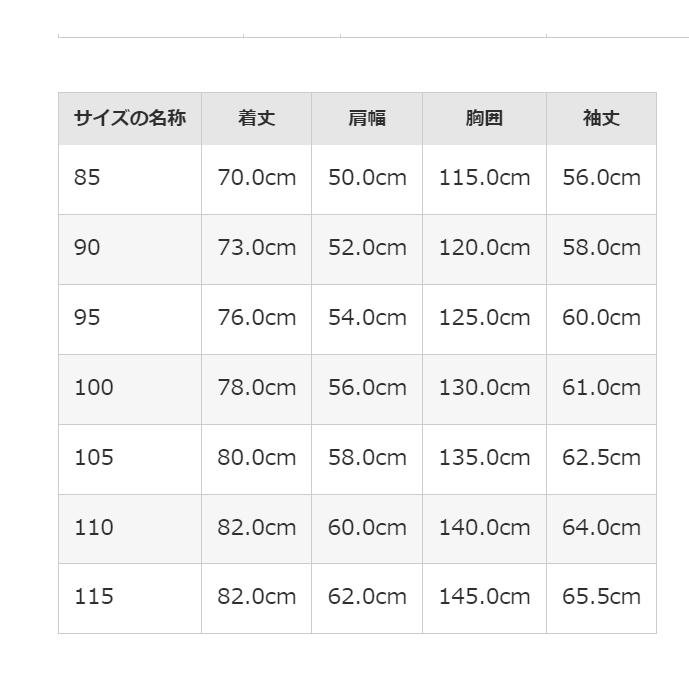 THE NORTH FACE ノースフェイス ダウンジャケット メンズ レディース 人気 高級感 ACTION TECH DOWN JACKET おすすめ 軽量 刺繍ロゴ ブラック NJ1DN54L_18