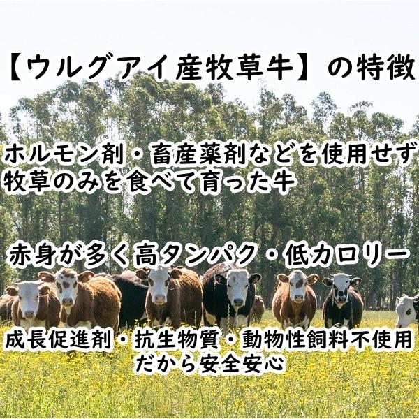 人気海外一番 九州の味 とろとろ もつ煮込み 250gx3パック 国内製造 モツ煮 ホルモン 煮込み料理 レトルト 惣菜 煮物 おかず 常温 食品 おつまみ 酒の肴 非常食 お徳用 業務用 Babylonrooftop Com Au