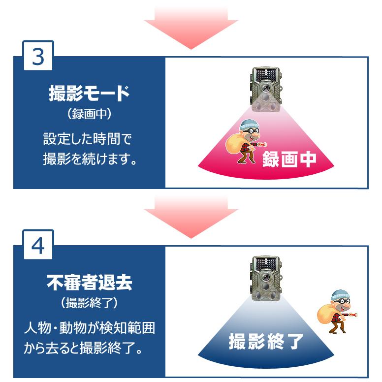 防犯カメラ トレイルカメラ ワイヤレス 屋外 電池式 小型 sdカード録画家庭用 上書き ケーブル 無線 モニターセット モニター付き 有線 録画機