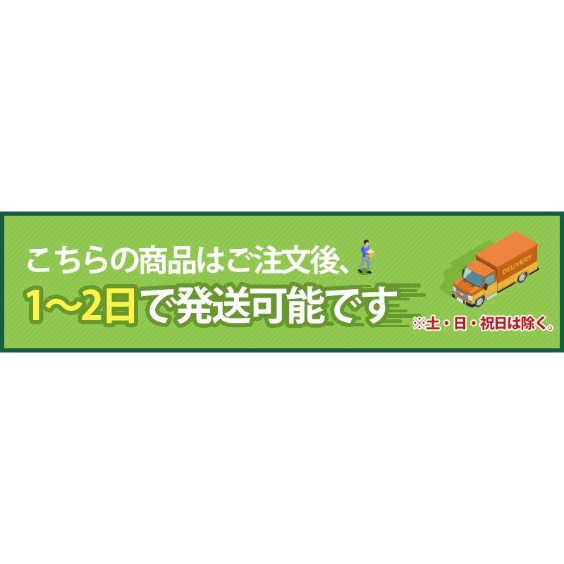 競泳水着 レディース 練習用 フィットネス水着 JKUSS ジェイコス JC3WAO0465 ミドルカット ゆうパケット送料無料 ※ 1サイズ大きくご注文下さい。 :jc3wao0465:楽しいスイムウェア KBC SPORTS - 通販 - Yahoo!ショッピング 競泳水着 レディース 練習用 フィットネス水着 JKUSS ジェイコス JC3WAO0465 ミドルカット ゆうパケット送料無料 ※ 1サイズ大きくご注文下さい。 :jc3wao0465:楽しいスイムウェア KBC SPORTS - 通販 - Yahoo!ショッピング