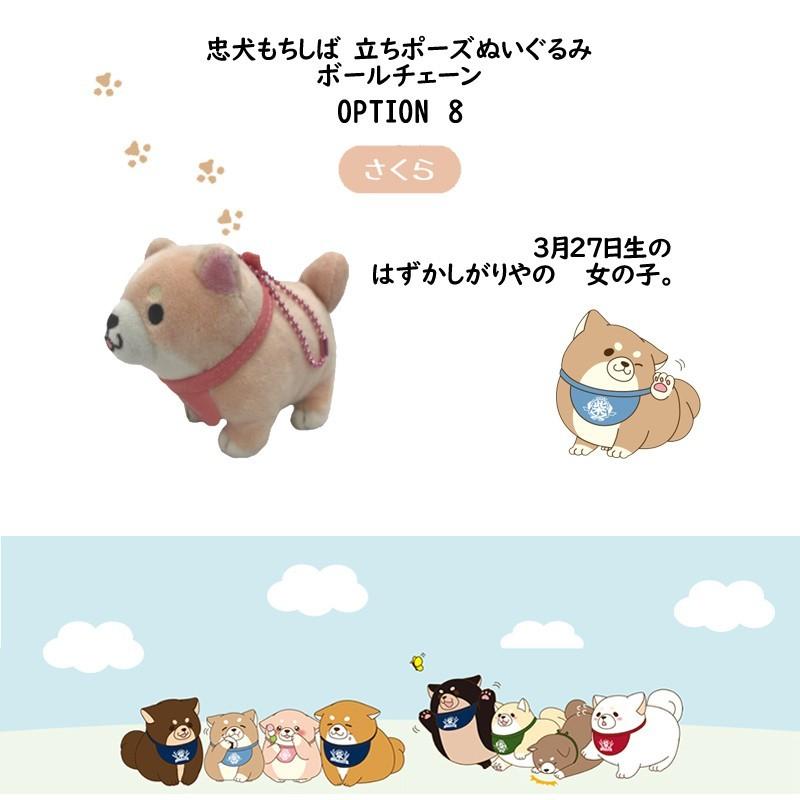 忠犬もちしば 立ちポーズ ぬいぐるみ ボールチェーン Mochishiba 全8種類 Mochishiba Chain 楽しいスイムウェア Kbc Sports 通販 Yahoo ショッピング
