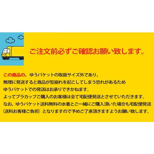 スイムカップ 取り外し可能レディース 競泳水着用取り付け胸パッド スイムインナーサイズ M L Xl Xxl引っかけフックで簡単取り付け Sn Bracap 01c 楽しいスイムウェア Kbc Sports 通販 Yahoo ショッピング
