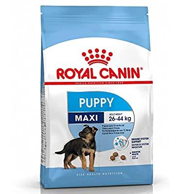 完動品 ロイヤルカナン SHN マキシ ジュニア 犬用 10kg 【IQ2239486789】(11640円)