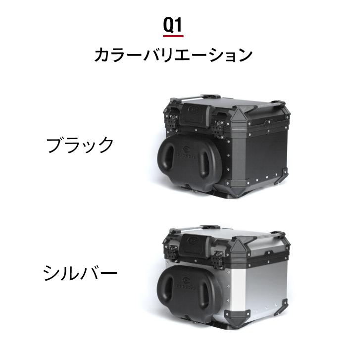 直送品 COOCASE Q1 ブラック アジャスタブル バックレスト付きトップ