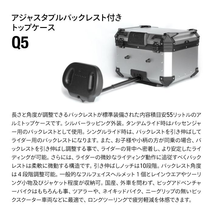 直送品 COOCASE Q5 シルバー アジャスタブル バックレスト付きトップ