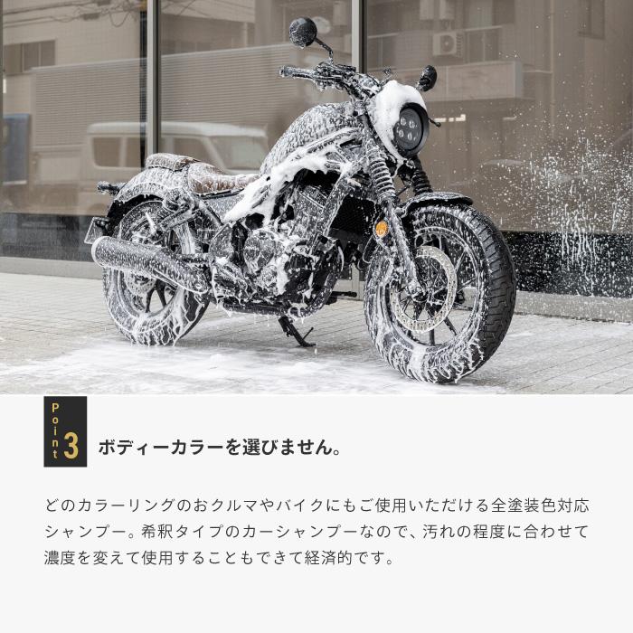 テオゴニア ホピトス-ディオ 濃縮 炭配合シャンプー 300ml TEOGONIA