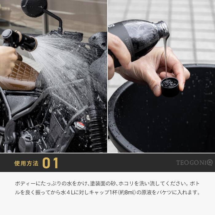 テオゴニア ホピトス-ディオ 濃縮 炭配合シャンプー 300ml TEOGONIA