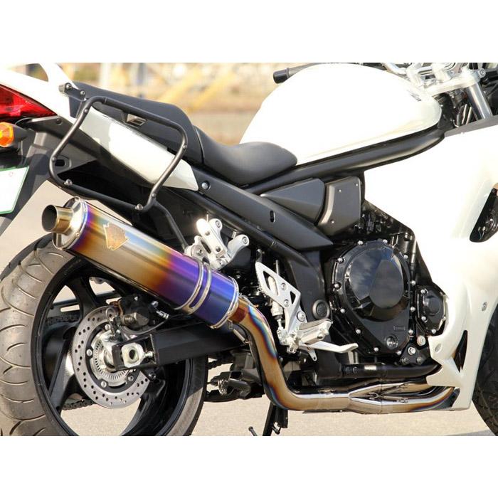 AKRAPOVIC 直送品 アールズギア ワイバン シングルタイプ