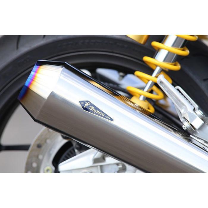 AKRAPOVIC（アクラポビッチ） 直送品 アールズギア ワイバンクラシック