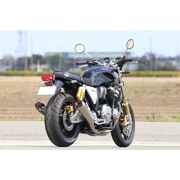 AKRAPOVIC（アクラポビッチ） 直送品 アールズギア ワイバンクラシック