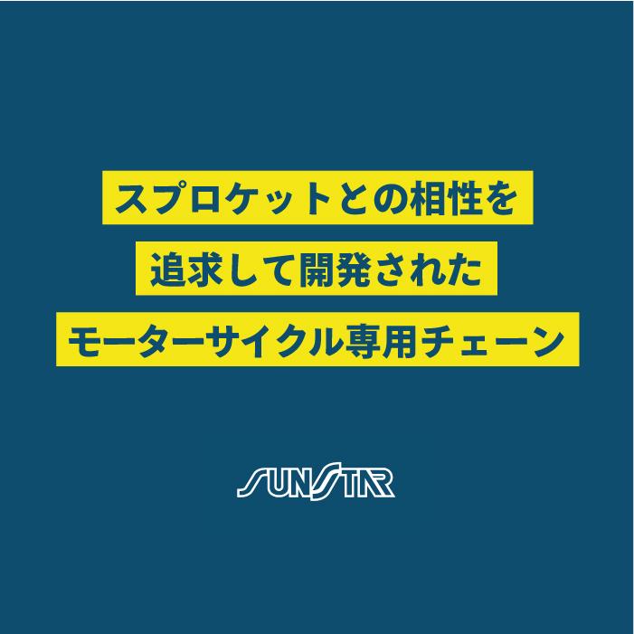 サンスター チェーン＆スプロケット 3点セット カワサキ 250TR SUNSTAR