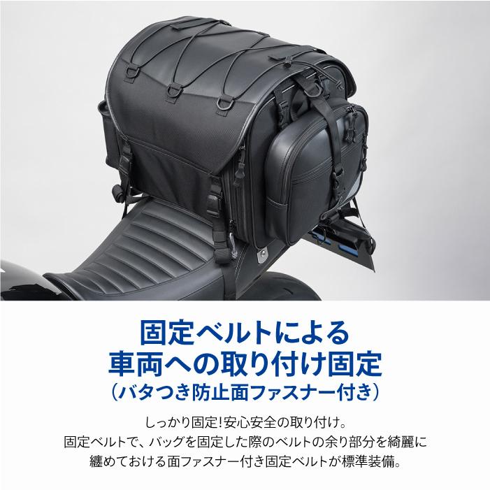 TANAX（タナックス） モトフィズ MFK-1003 キャンピングシートバッグ