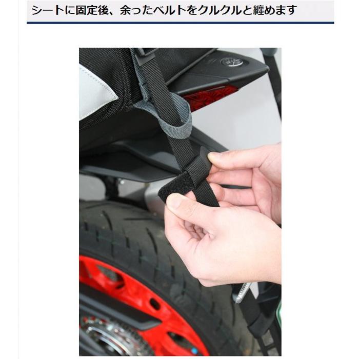 TANAX（タナックス） モトフィズ MP-123T 固定ベルト（1本） TANAX