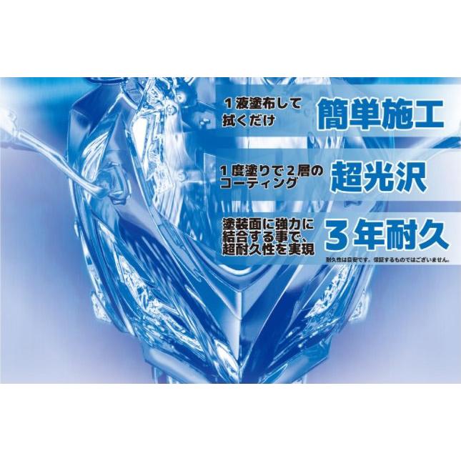 TANAX（タナックス） ピットギア PG-274 ガラスコート プロ艶