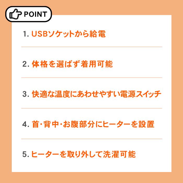 在庫処分 USB給電 電熱ヒーターベスト N PROJECT 80060 ベストヒート