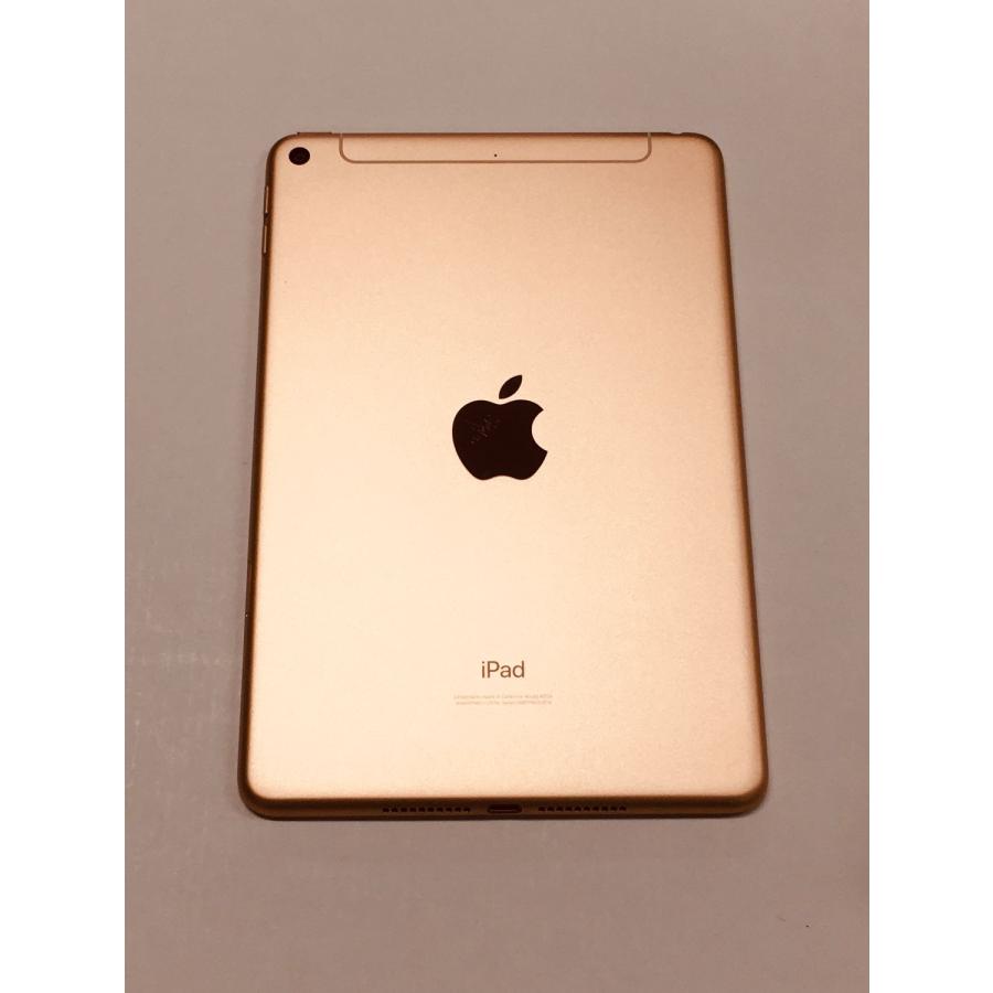 iPad mini 【動作確認・初期化済み】美品 電池98％(充放電33回）SIM