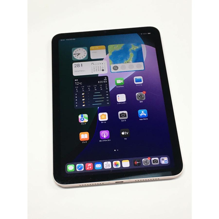 iPad mini 【動作確認・初期化済み】電池95％(充放電167回）SIMフリー