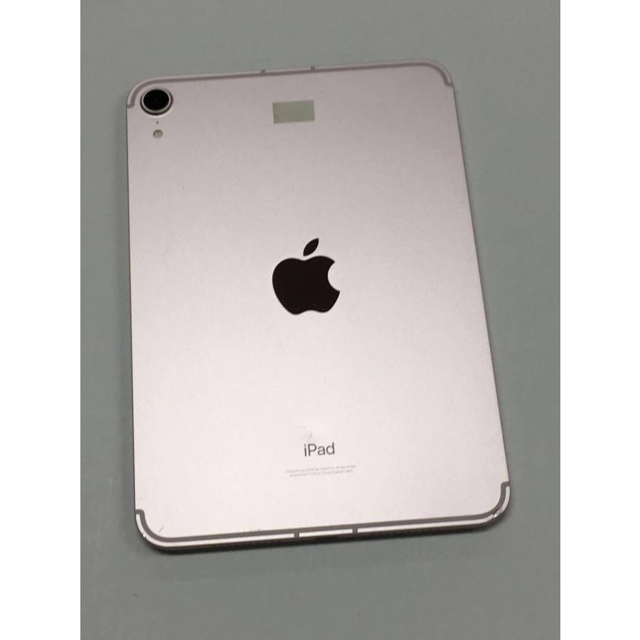 iPad mini 【動作確認・初期化済み】電池95％(充放電167回）SIMフリー