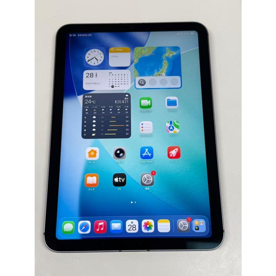 iPad mini 美品 電池86% Apple (第6世代) 256GB スペースグレイ SIM