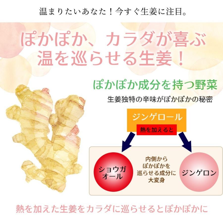 ジンジャーシロップ 200ml 温活習慣 無添加 無着色 生姜シロップ 【限定品】 無添加 ジンジャーシロップ 200ml 温活習慣 無添加 無着色 生姜シロップ 【限定品】 無添加