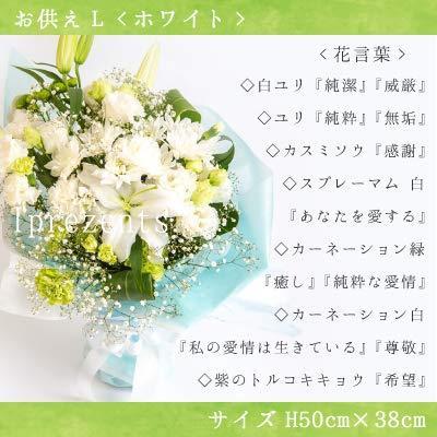憧れの のし 退職祝い アイプレゼンツ メッセージカード お祝 退職 L ホワイト ブーケ メモリアル 詰合せ 銘茶 最高位茶匠監修 付き 緑茶 日本茶 Powerscandyco Com