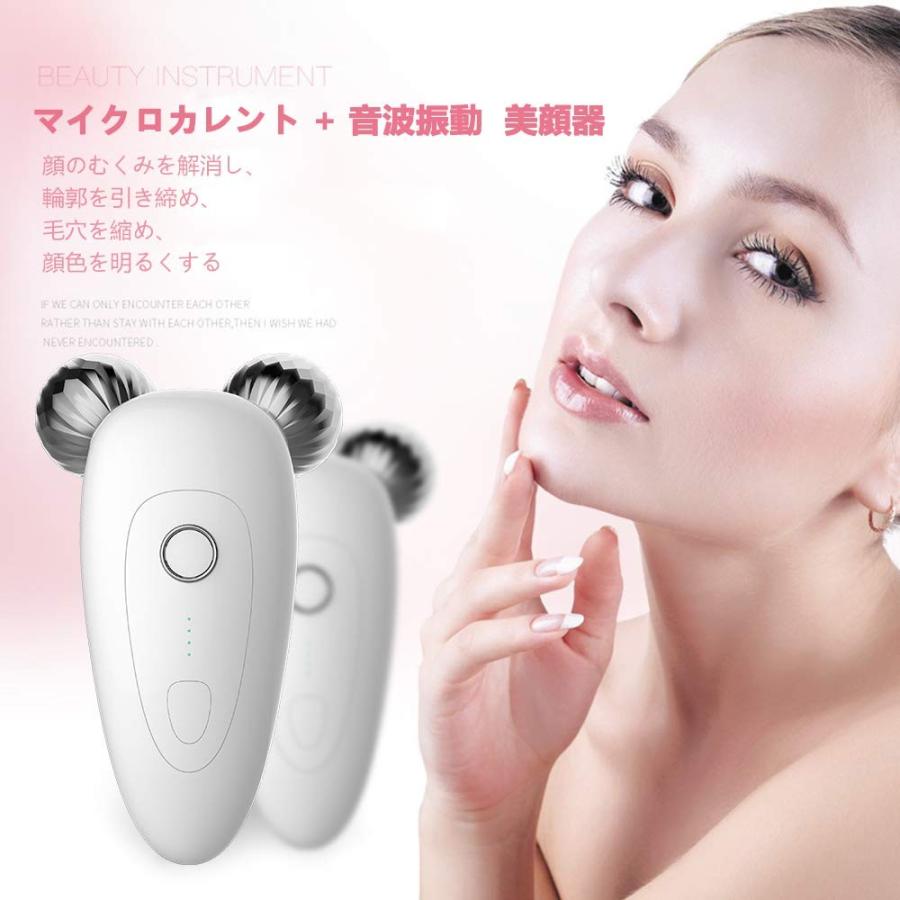 不可能な むしゃむしゃ メジャー 顔 むくみ 美顔 器 Sustainableseeds Org