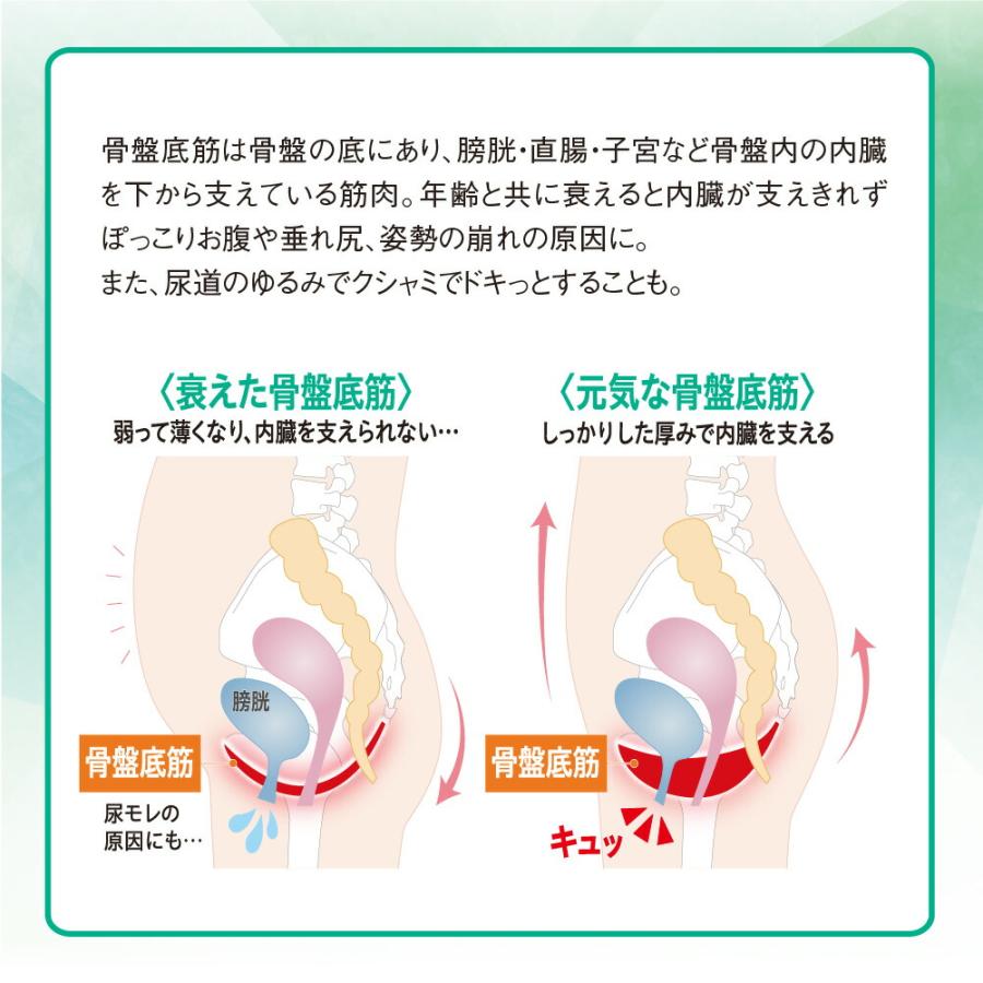 【メーカー公式サイト】 武田美保監修 内転筋スパッツ 2枚組 男女兼用 |  | 07