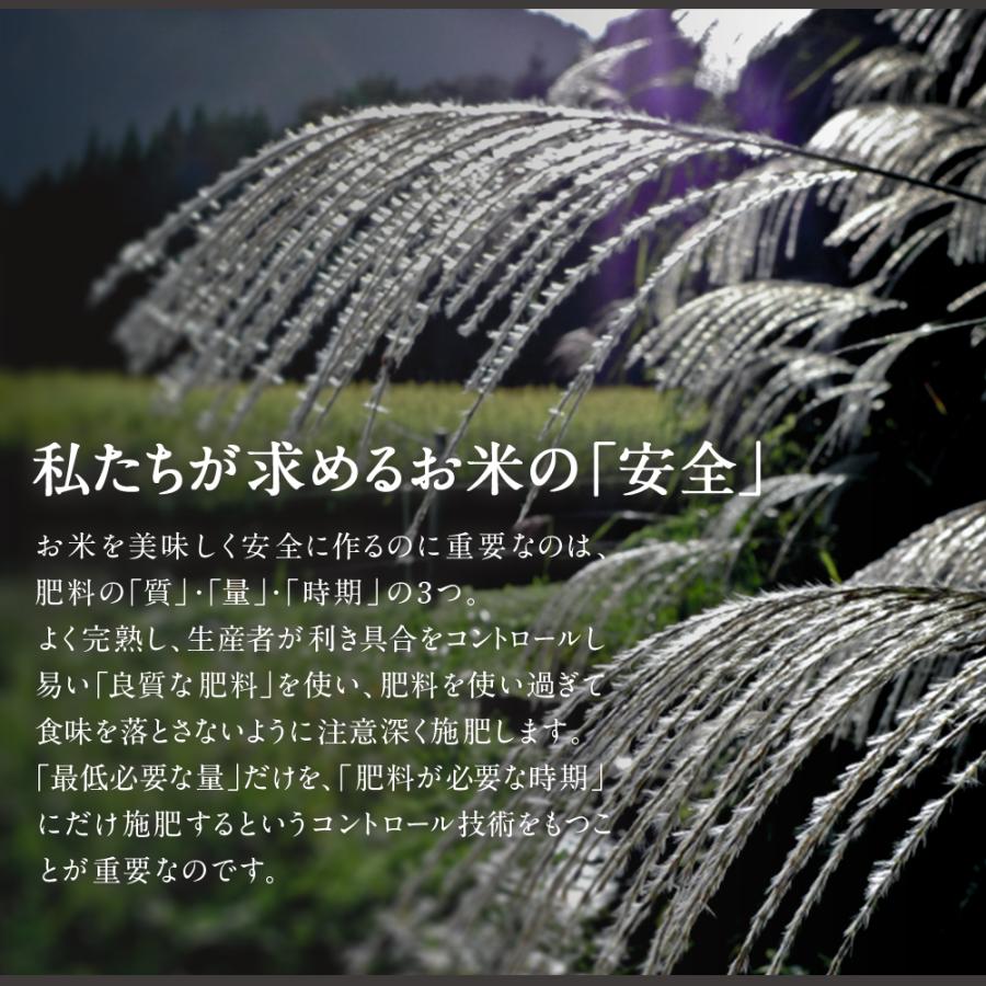 米 5kg 新潟県産 こしひかり 令和5年度産  お米 5キロ  白米 精米 産地直送  送料無料 コシヒカリ｜jn-mall｜09