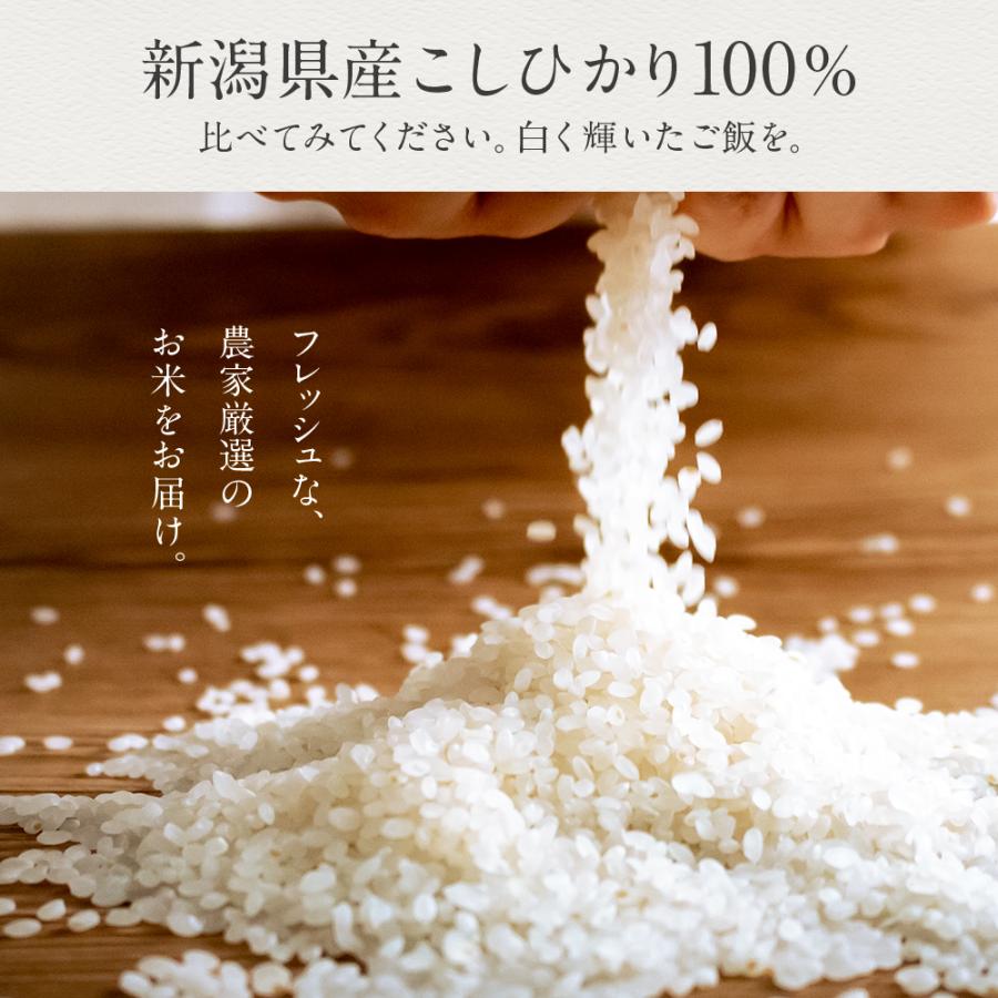 米 10kg 新潟県産 こしひかり 令和7年度産  お米 10キロ (5kg × 2袋)  白米 精米 産地直送  送料無料 コシヒカリ |  | 01