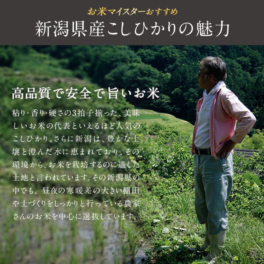 米 10kg 新潟県産 こしひかり 令和7年度産  お米 10キロ (5kg × 2袋)  白米 精米 産地直送  送料無料 コシヒカリ |  | 02