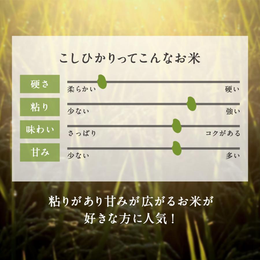 米 10kg 新潟県産 こしひかり 令和7年度産  お米 10キロ (5kg × 2袋)  白米 精米 産地直送  送料無料 コシヒカリ |  | 03