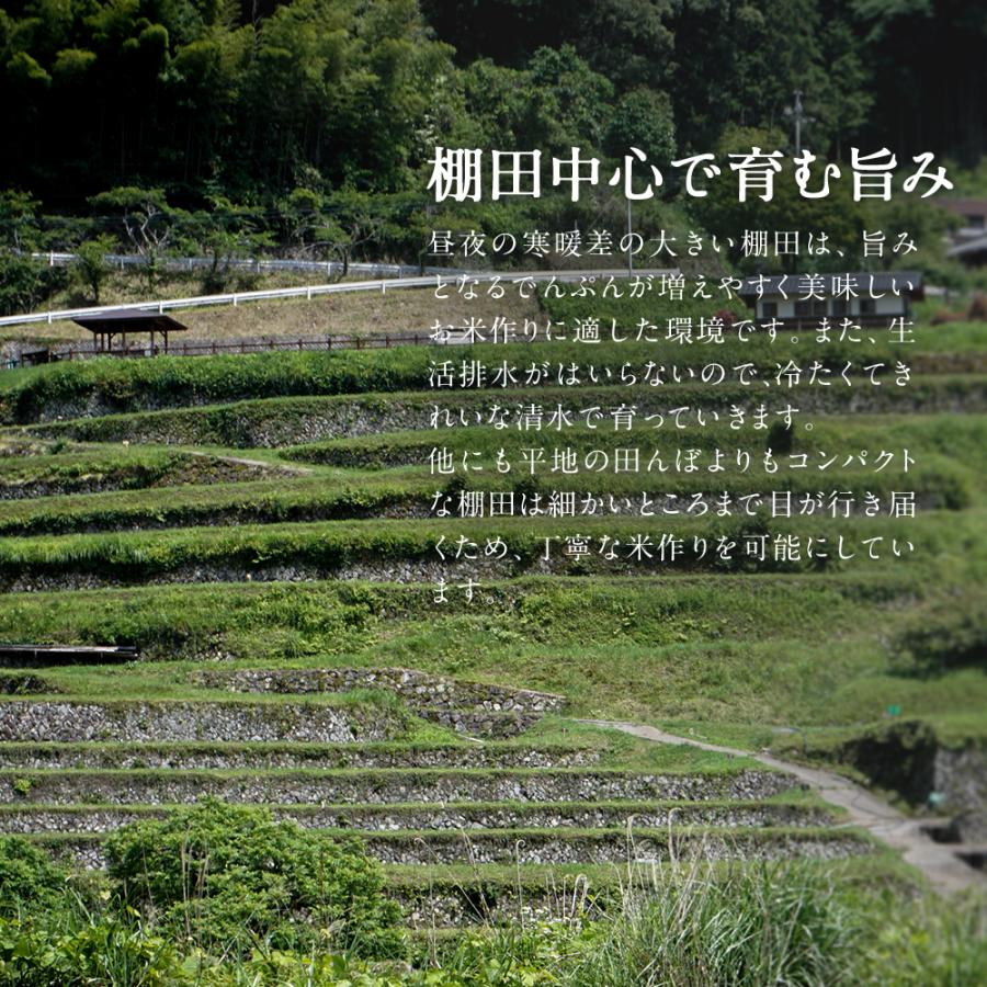 米 10kg 新潟県産 こしひかり 令和7年度産  お米 10キロ (5kg × 2袋)  白米 精米 産地直送  送料無料 コシヒカリ |  | 05
