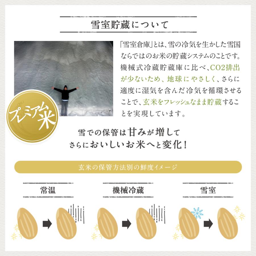 米 10kg 新潟県産 こしひかり 令和7年度産  お米 10キロ (5kg × 2袋)  白米 精米 産地直送  送料無料 コシヒカリ |  | 06