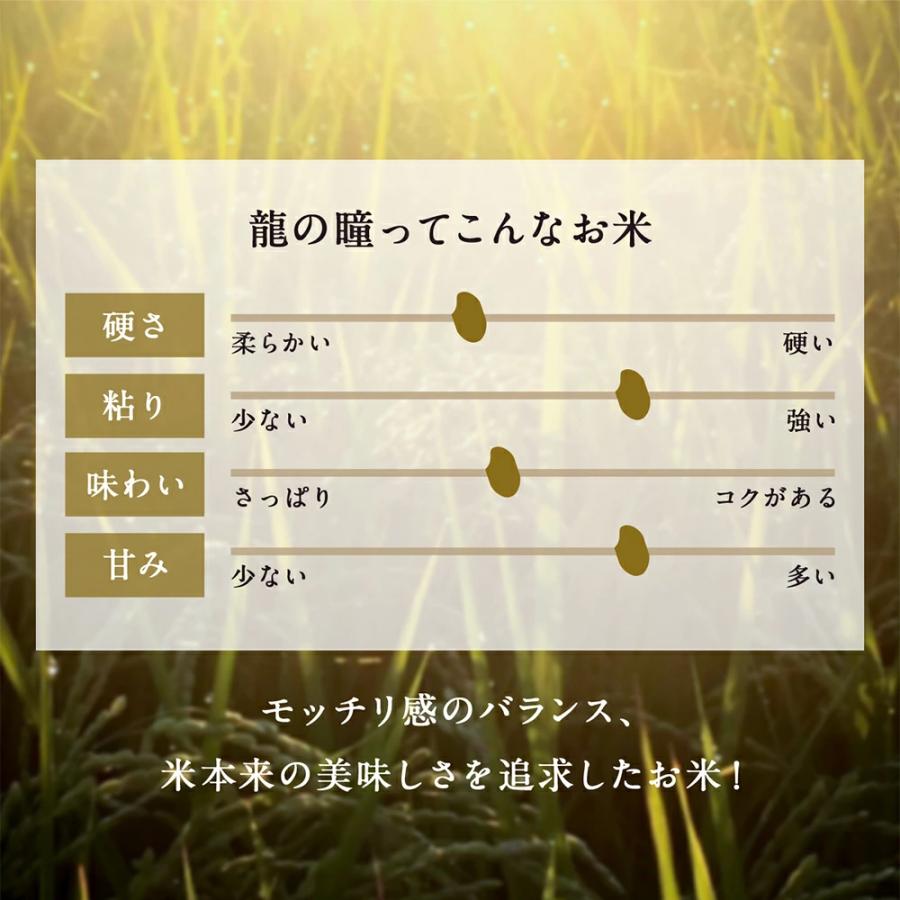 新米 米 10kg 岐阜県産 いのちの壱 龍の瞳 令和7年度産 お米 10キロ 白米 精米 送料無料 りゅうのひとみ |  | 04