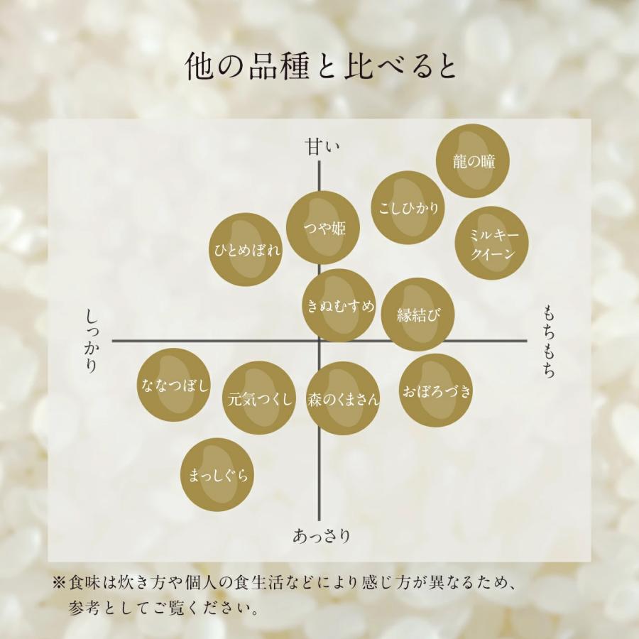 新米 米 10kg 岐阜県産 いのちの壱 龍の瞳 令和7年度産 お米 10キロ 白米 精米 送料無料 りゅうのひとみ |  | 07