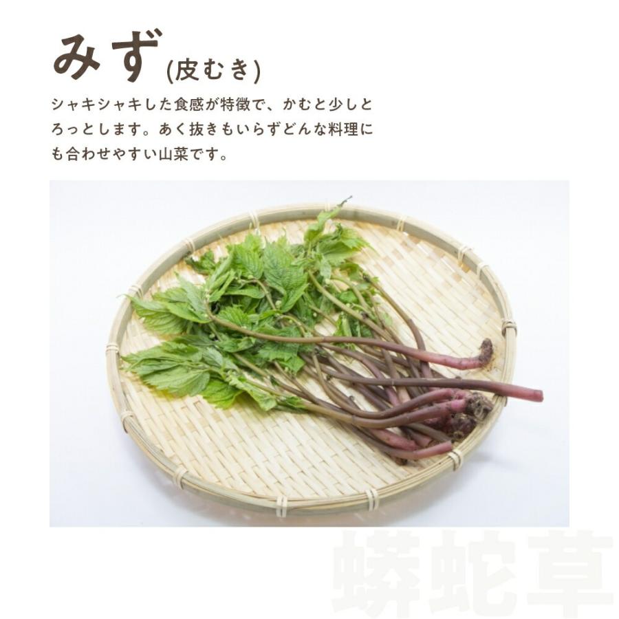 みず（皮むき）500g 秋田県産 みず 山菜 さんさい とれたて 新鮮 国産