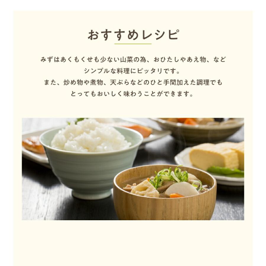 みず（皮むき）500g 秋田県産 みず 山菜 さんさい とれたて 新鮮 国産