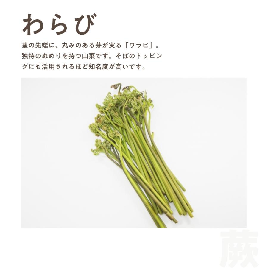 わらび 1000g 秋田県産 直送 山菜 さんさい とれたて 天然 【5月 わらび 1000g 秋田県産 直送 山菜 さんさい とれたて 天然 【5月