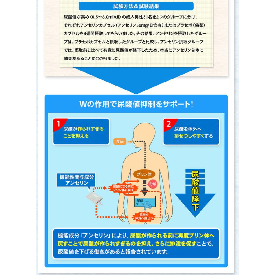 恵葉プレミアム1袋（90粒 約30日分）尿酸値を下げる「機能性表示食品