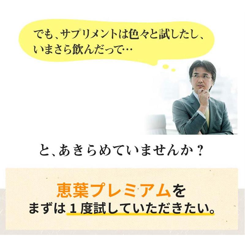 恵葉プレミアム1袋（90粒 約30日分）尿酸値を下げる「機能性表示食品