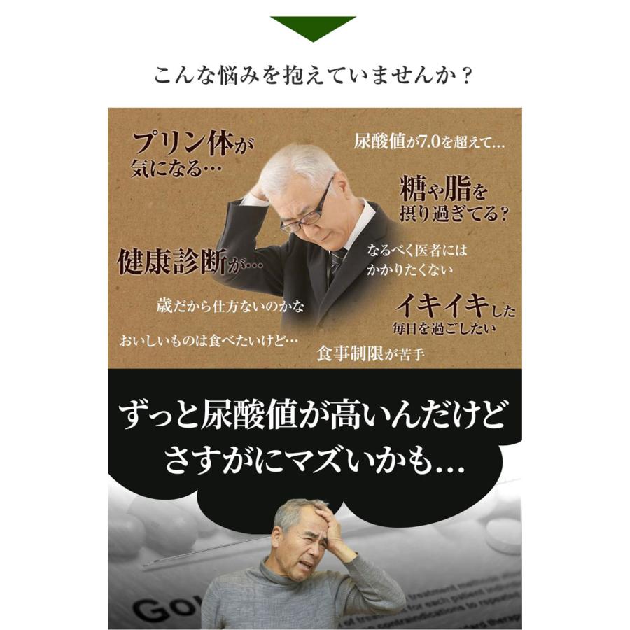 恵葉プレミアム1袋（90粒 約30日分）尿酸値を下げる「機能性表示食品