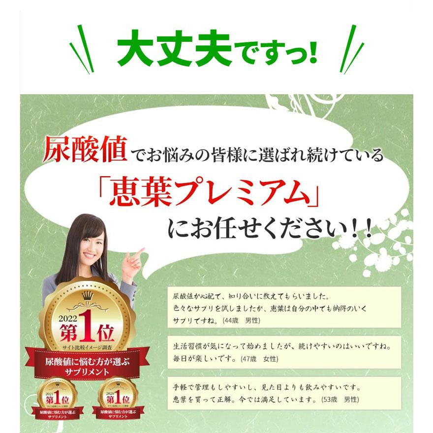 恵葉プレミアム1袋（90粒 約30日分）尿酸値を下げる「機能性表示食品