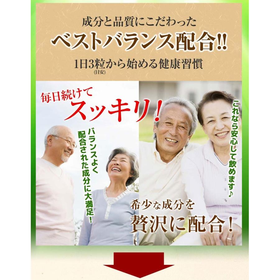 恵葉プレミアム1袋（90粒 約30日分）尿酸値を下げる「機能性表示食品
